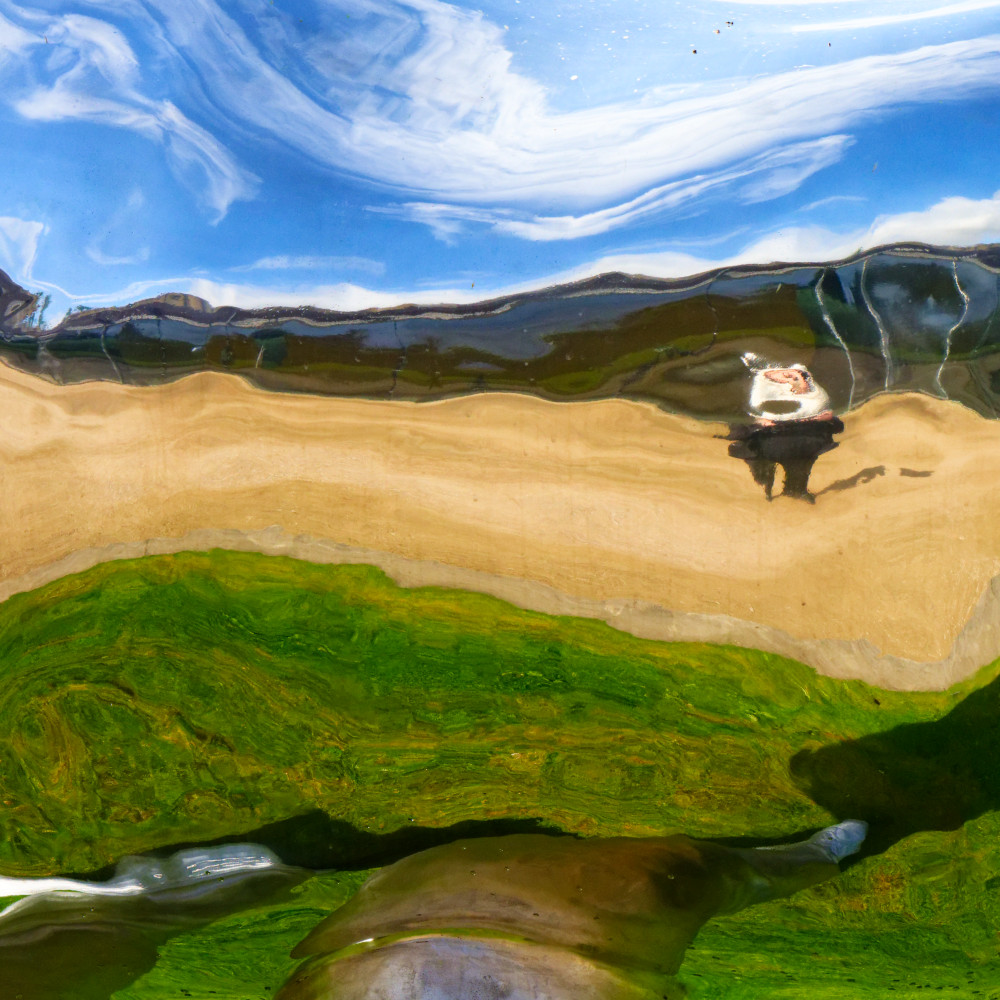 image: This is ‘
yorkshire (xvi) 6
’.