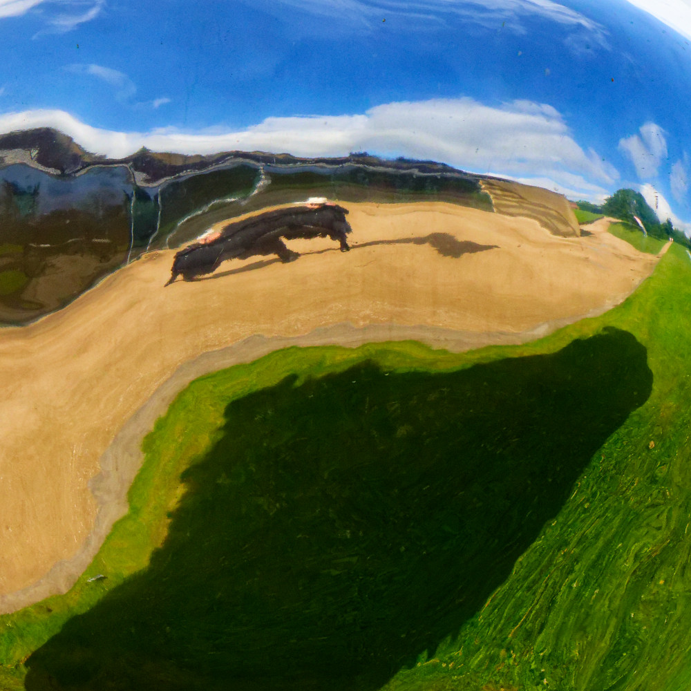 image: This is ‘
yorkshire (xvi) 7
’.