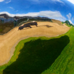 image: Image from the photoset ‘
yorkshire (xvi)
’.