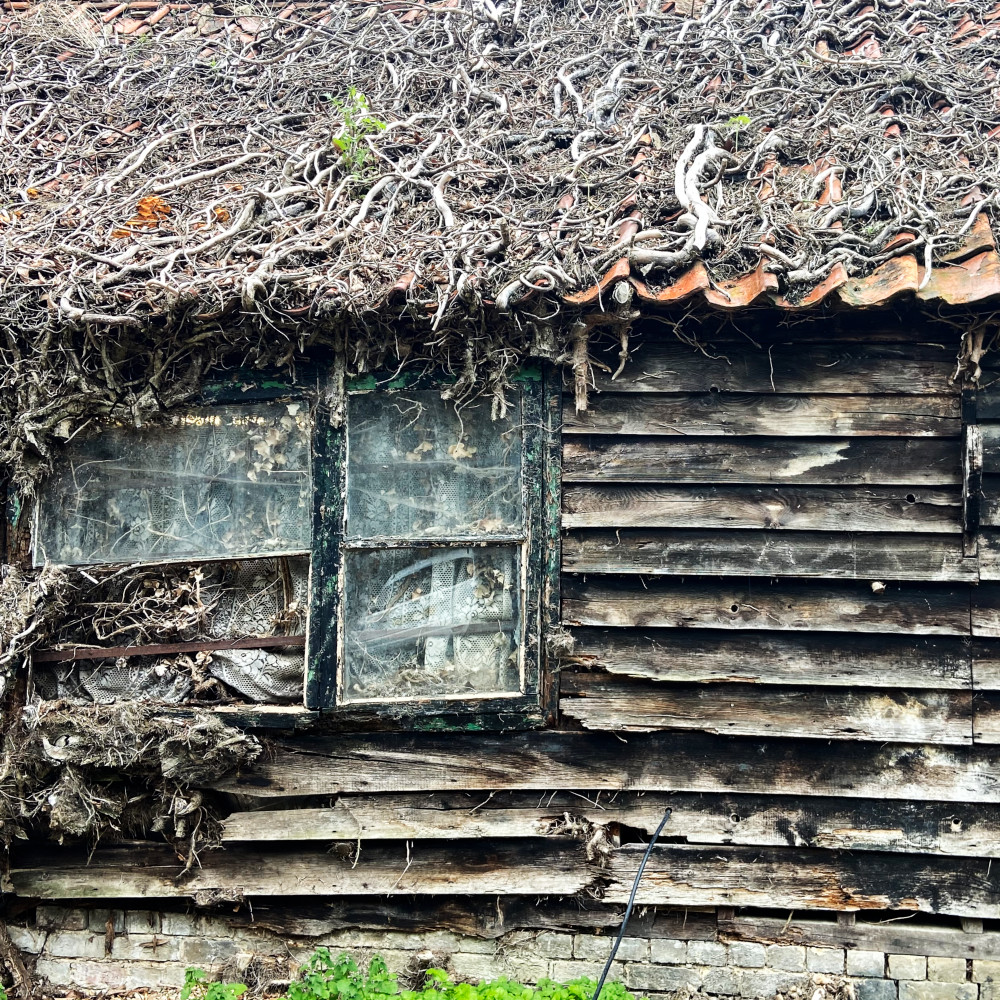 image: This is ‘
untitled (xlvi) 3
’.