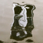 image: Image from the photoset ‘
brugge (vii)
’.