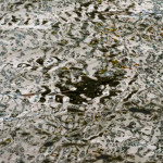 image: Image from the photoset ‘
brugge (viii)
’.