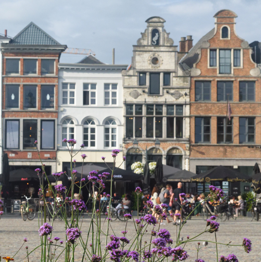 image: This is ‘
mechelen (v) 3
’.