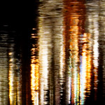 image: Image from the photoset ‘
ghent (xiii)
’.