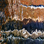 image: Image from the photoset ‘
brugge (x)
’.