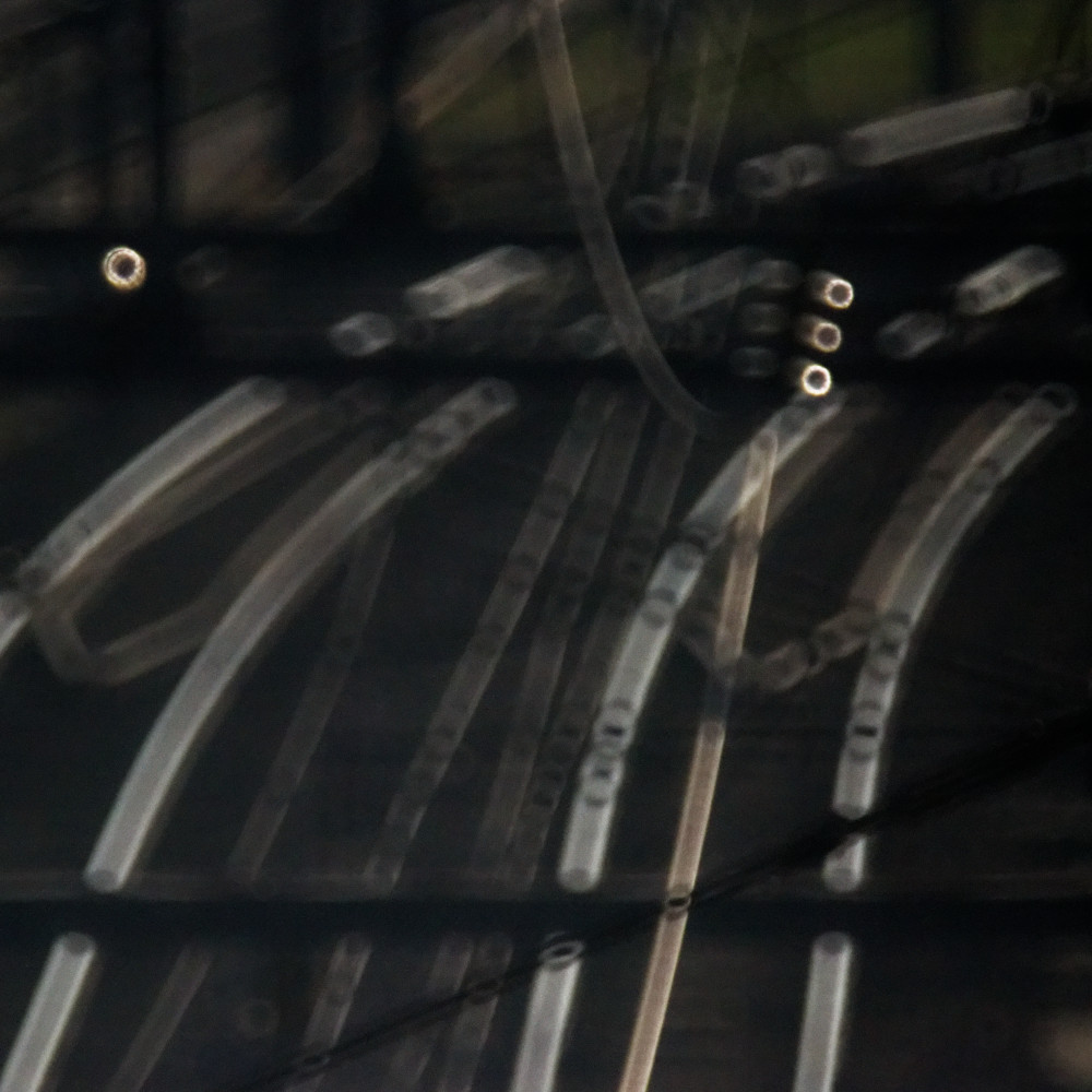 image: This is ‘
esch/uelzecht (xxxviii) 4
’.