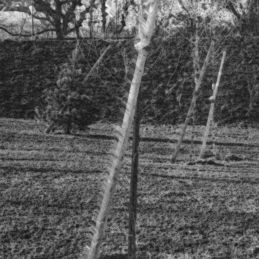 image: This is ‘
damage (cccxxvi) 5
’.