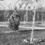 image: Image from the photoset ‘
damage (cccxxvi)
’.