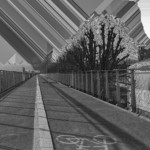 image: Image from the photoset ‘
damage (cccxxvii)
’.