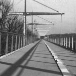 image: Image from the photoset ‘
damage (cccxxvii)
’.