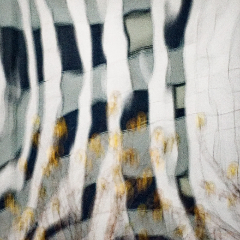 image: This is ‘
la défense (lxxv) 2
’.