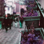 image: Image from the photoset ‘
montmartre (xvi)
’.