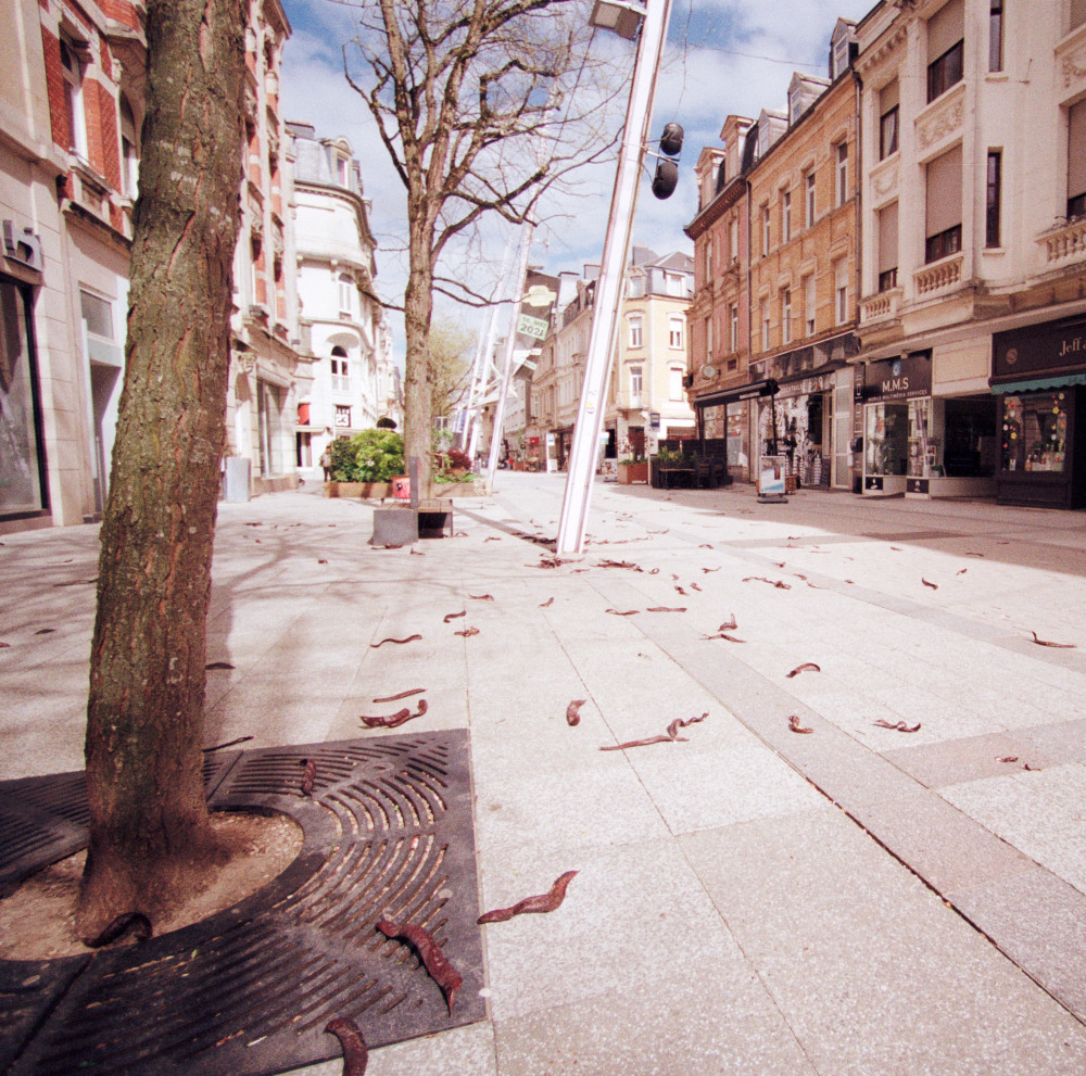 image: This is ‘
esch/uelzecht (xli) 3
’.