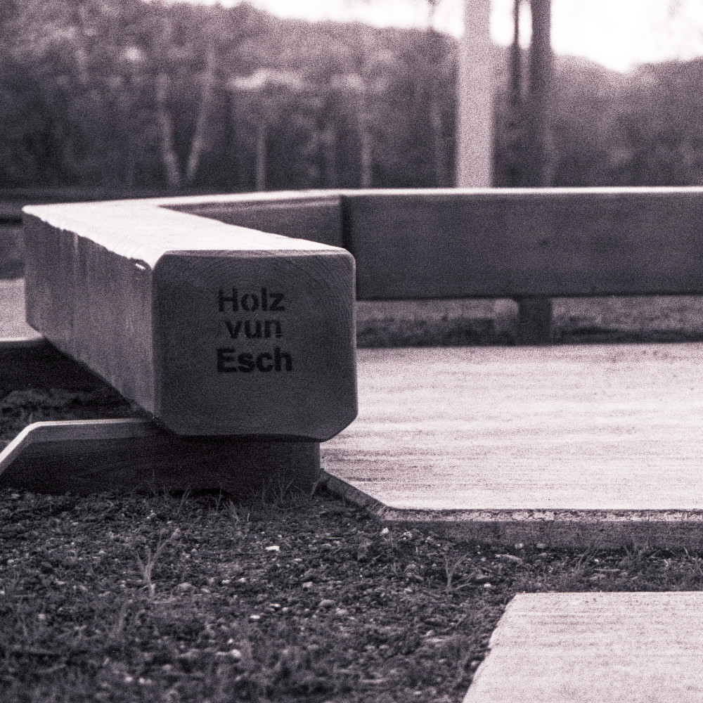 image: This is ‘
esch/uelzecht (xlii) 1
’.