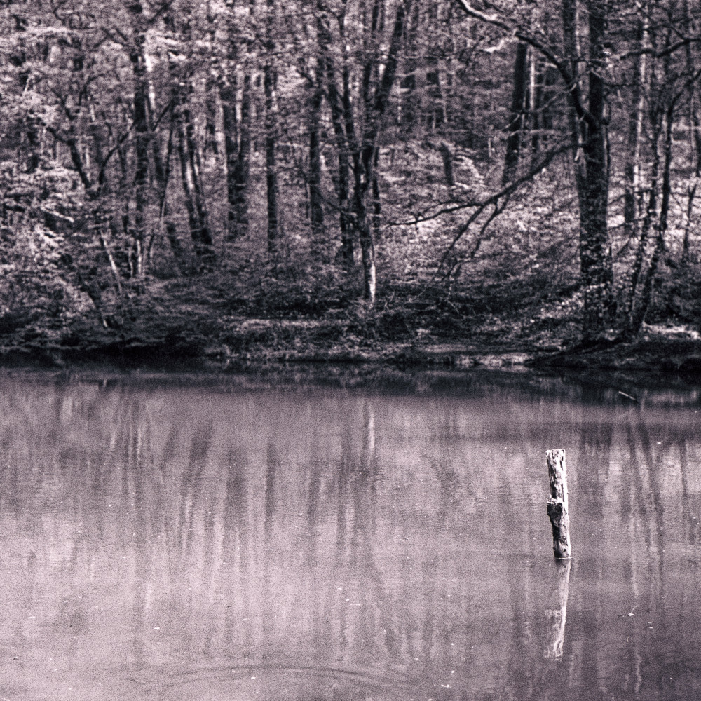 image: This is ‘
terres rouges (xxiv) 2
’.