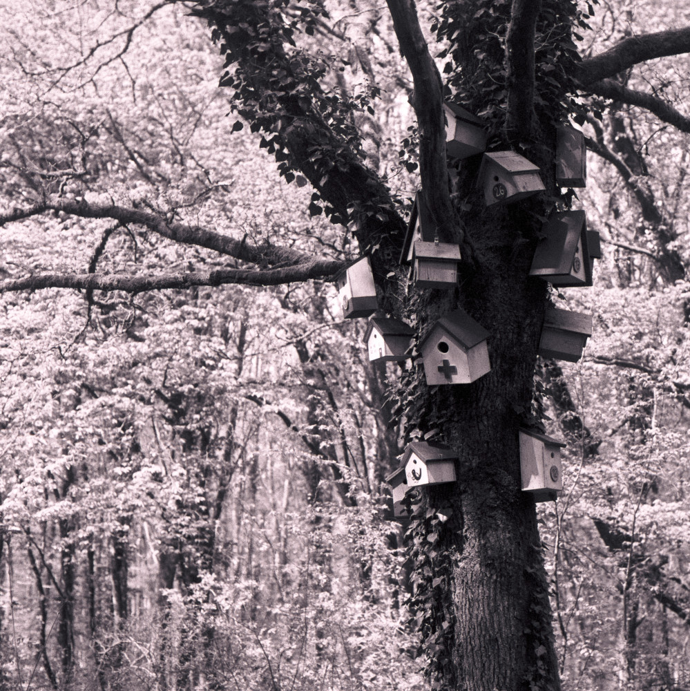 image: This is ‘
terres rouges (xxiv) 3
’.