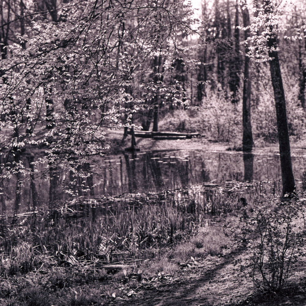 image: This is ‘
terres rouges (xxiv) 5
’.