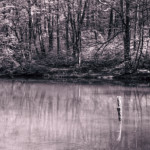 image: Image from the photoset ‘
terres rouges (xxiv)
’.