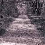 image: Image from the photoset ‘
terres rouges (xxiv)
’.