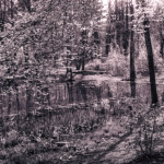 image: Image from the photoset ‘
terres rouges (xxiv)
’.