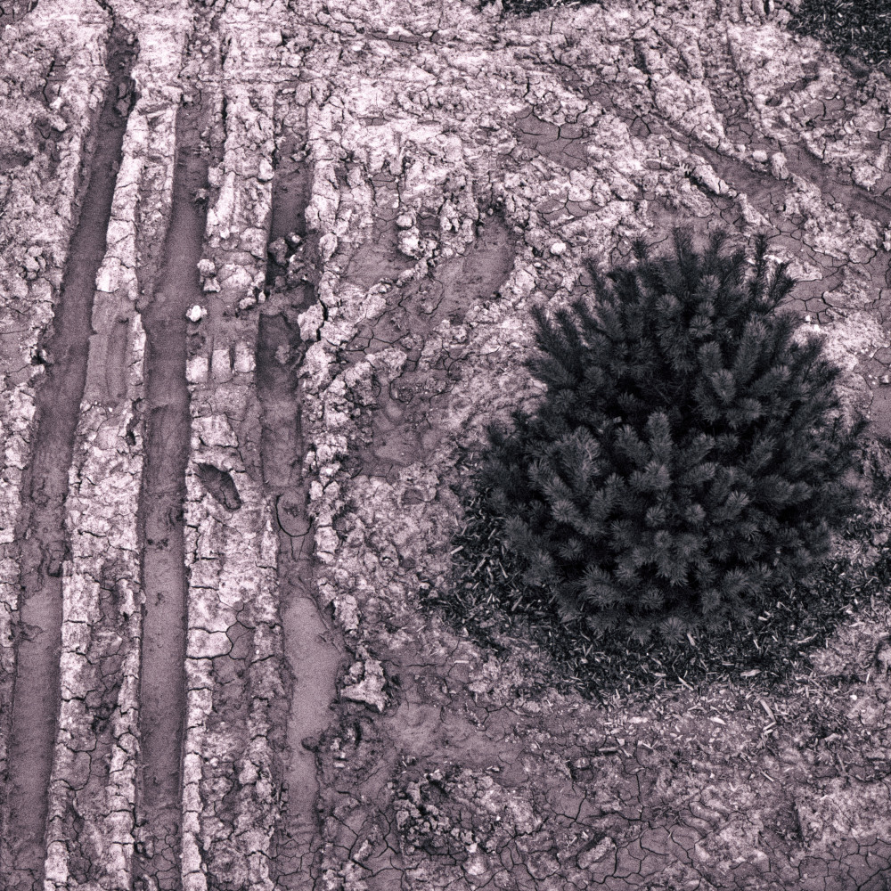 image: This is ‘
texture (v) 1
’.