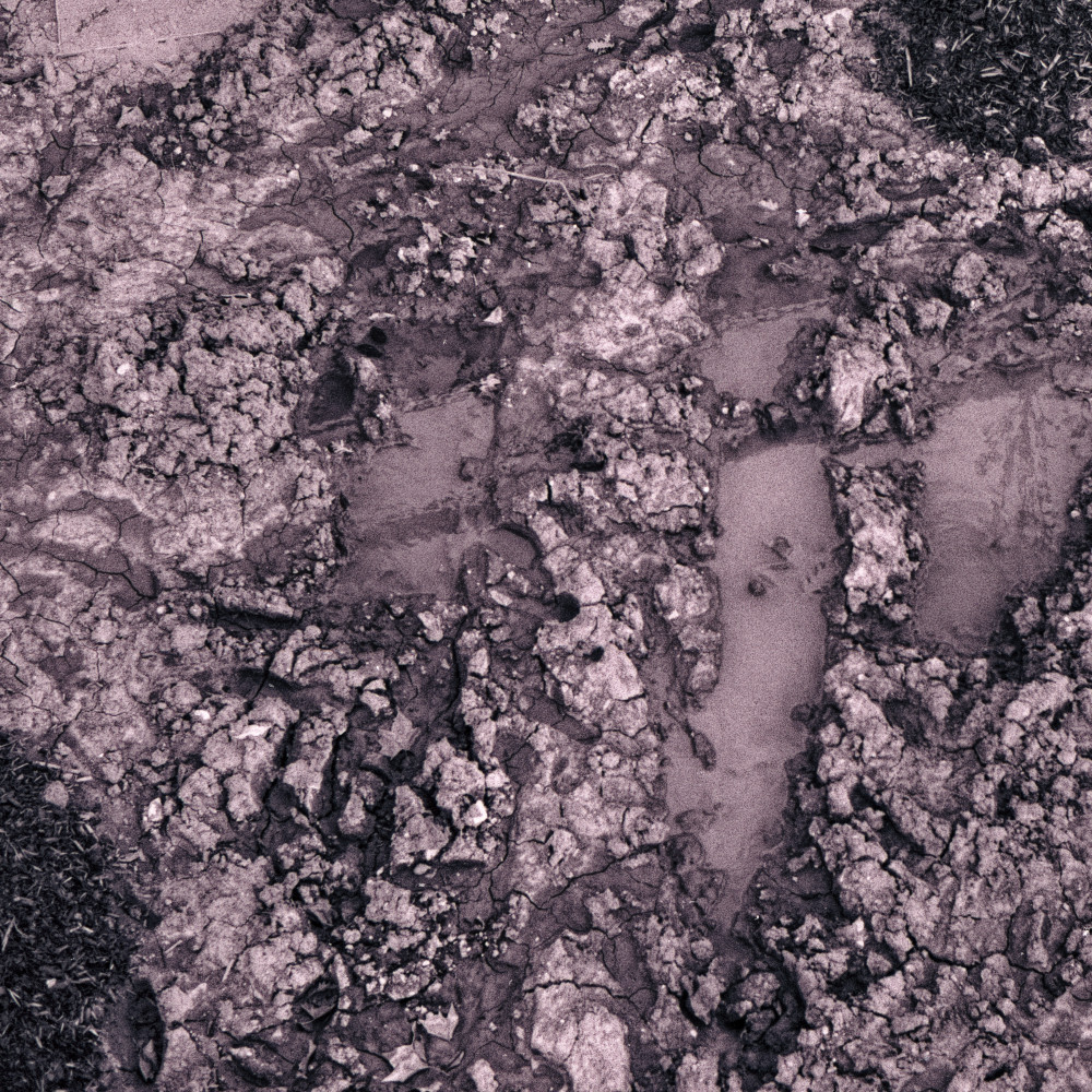 image: This is ‘
texture (v) 4
’.