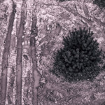 image: Image from the photoset ‘
texture (v)
’.