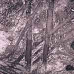 image: textures (v) photoset