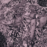 image: Image from the photoset ‘
texture (v)
’.