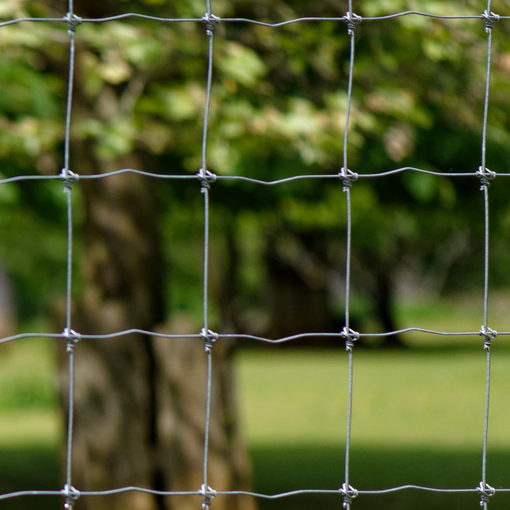 image: This is ‘
esch/uelzecht (xliv) 3
’.