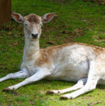 image: Image from the photoset ‘
esch/uelzecht (xliv)
’.