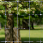 image: esch–sur–alzette (xliv) photoset