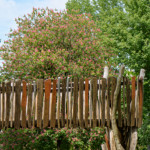 image: Image from the photoset ‘
esch/uelzecht (xliv)
’.