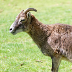 image: Image from the photoset ‘
esch/uelzecht (xliv)
’.