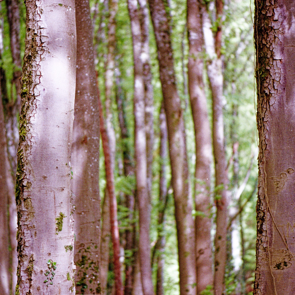 image: This is ‘
terres rouges (xxv) 7
’.