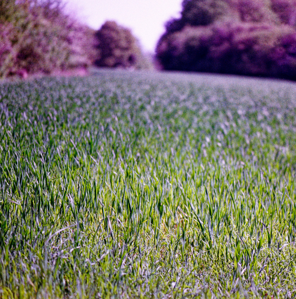 image: This is ‘
terres rouges (xxv) 8
’.