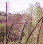 image: Image from the photoset ‘
terres rouges (xxv)
’.