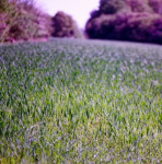 image: Image from the photoset ‘
terres rouges (xxv)
’.