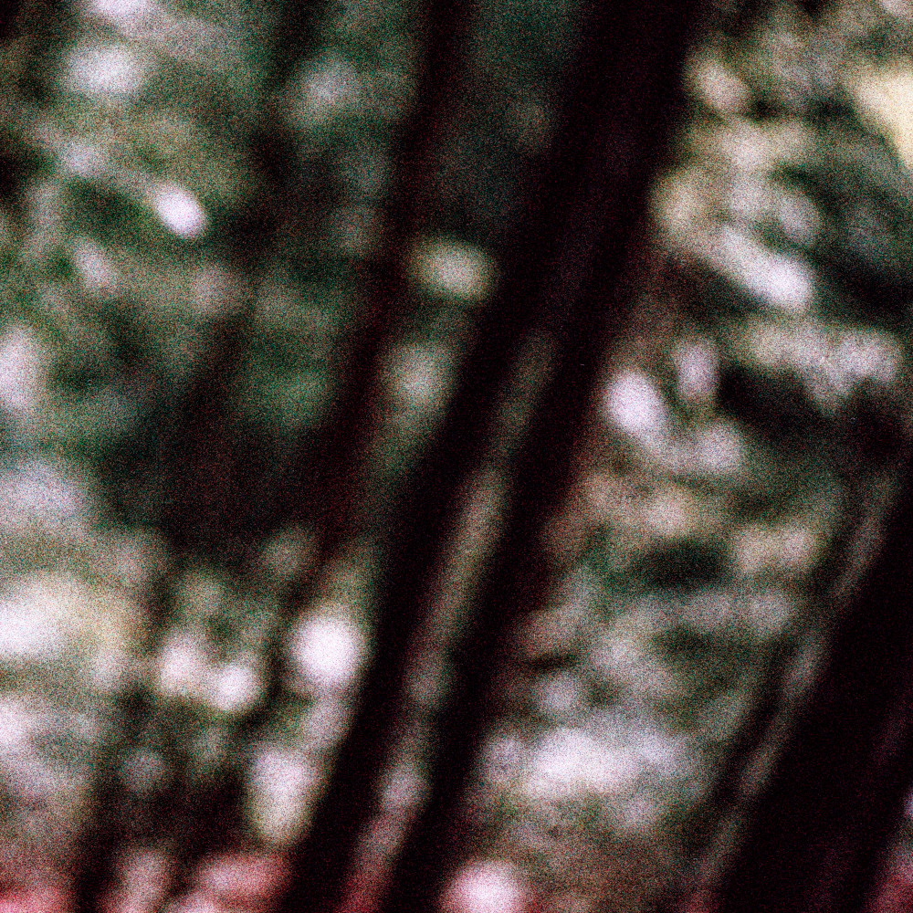 image: This is ‘
terres rouges (xxvi) 2
’.