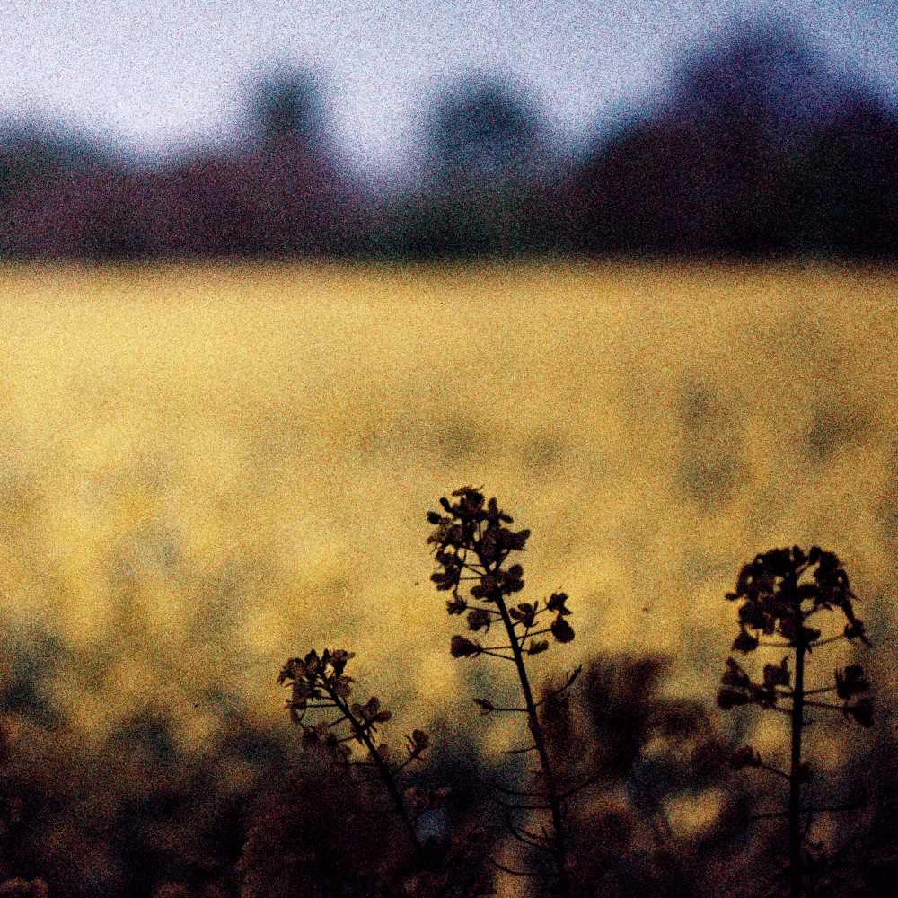 image: This is ‘
terres rouges (xxvi) 6
’.