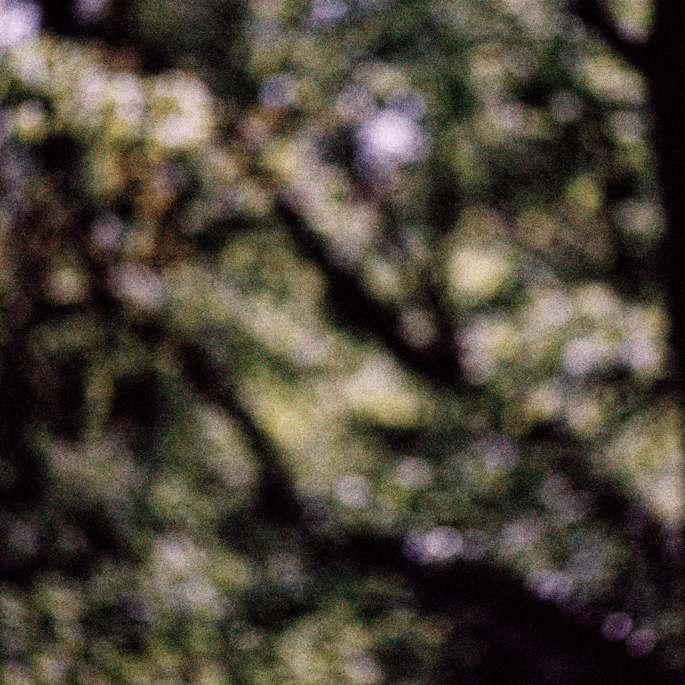 image: This is ‘
terres rouges (xxvi) 7
’.