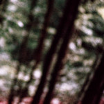 image: Image from the photoset ‘
terres rouges (xxvi)
’.