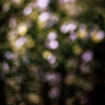 image: Image from the photoset ‘
terres rouges (xxvi)
’.