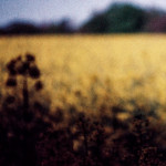 image: terres rouges (xxvi) photoset