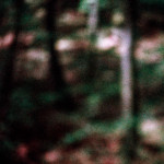 image: Image from the photoset ‘
terres rouges (xxvi)
’.