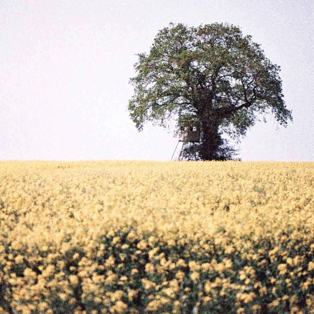 image: This is ‘
terres rouges (xxvii) 3
’.