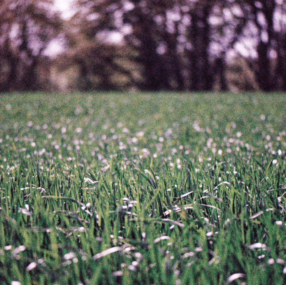 image: This is ‘
terres rouges (xxvii) 4
’.