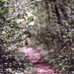 image: Image from the photoset ‘
terres rouges (xxvii)
’.