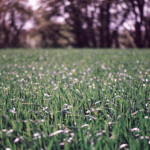 image: Image from the photoset ‘
terres rouges (xxvii)
’.