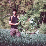 image: Image from the photoset ‘
terres rouges (xxvii)
’.